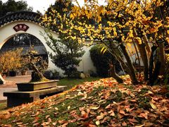 -三圣花乡旅游区