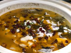 酸菜花鲢鱼-常和州·夜宵大排档(常州单店)