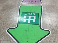 -大望路(地铁站)