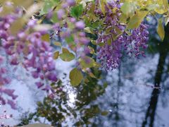 -共青国家森林公园-售票处