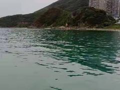 -小猫钓鱼海钓俱乐部(椰梦长廊店)