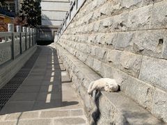 -宝通禅寺