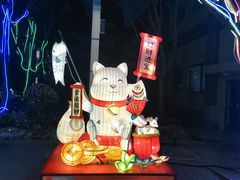 -南宫五洲植物乐园