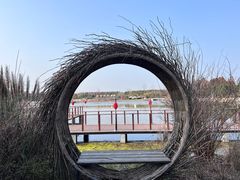-东平国家森林公园