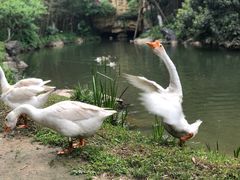 -常德桃花源景区