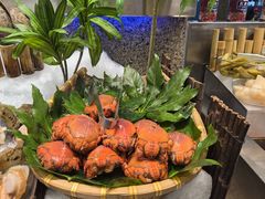 -初色海鲜自助(万丰路店)