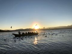 -大龙山(地铁站)