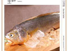 舟山野生大黄鱼-香浙汇(望京店)
