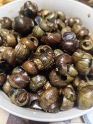 -新城花园酒店·宴会厅