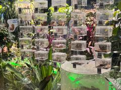 -上海大自然野生昆虫馆(东方明珠·爬宠昆虫探索中心)