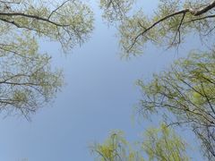 -洨河生态公园
