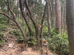 -黔灵山公园