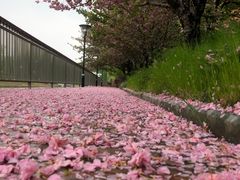 -复旦大学附属华山医院(浦东院区)