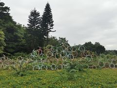 -南沙蒲洲花园