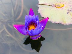 -南通洲际绿博园