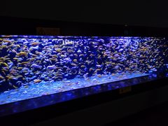 -成都浩海立方海洋公园