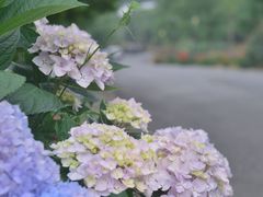 -天地生态农庄