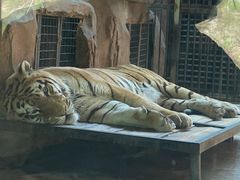 -鄂尔多斯野生动物园