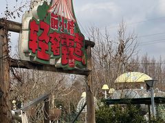 -前小桔亲子创意农场·草莓采摘·露营烧烤