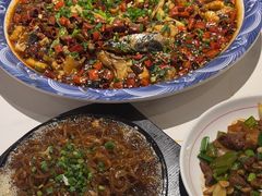 -新概念来凤鱼(璧山店)