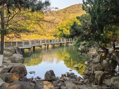 -白马涧龙池景区