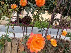 -悦SHOW 量贩式KTV(宝龙广场店)