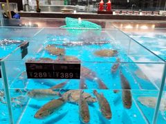 -艳阳天·非遗楚菜(武汉客厅店)