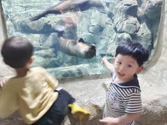 -南昌海洋公园