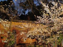 -鸡鸣寺