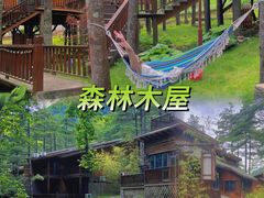 -洛阳白云山景区
