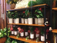 零售区-彼芝奇比萨(红坊店)