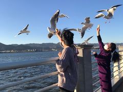 -滇池海埂公园