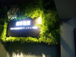 点击看大图 -藤野造型