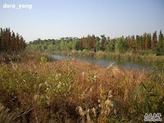 -新江湾城公园