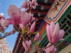 -丰台花园