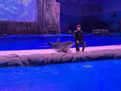 -华夏文旅海洋公园