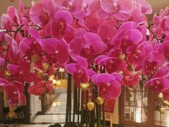 -上海小南国(国发店)