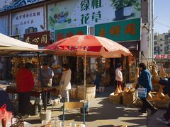-中环花鸟鱼虫市场