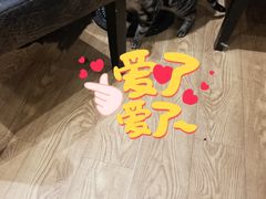-猫色咖啡·猫咖