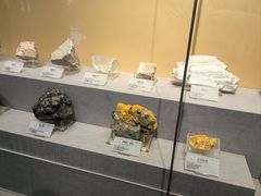 -湖南省地质博物馆