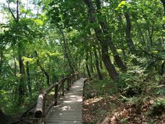 -北京上方山国家森林公园