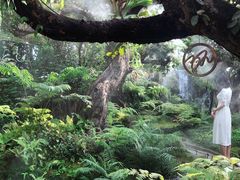 -Chom Cafe and Restaurant