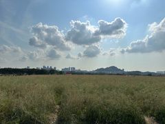 -光明小镇欢乐田园