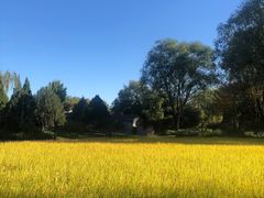 -北坞公园