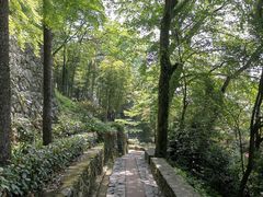 -莫干山风景区