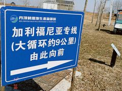 -盐城丹顶鹤湿地生态旅游区