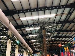 -南宫温泉水世界