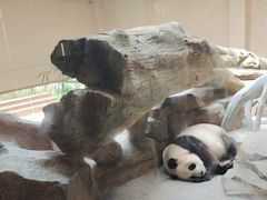-宁波野生动物园
