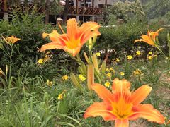 景观位-劳模山庄