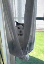 -東田造型